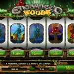 Enchanted Woods Screenshot 1