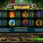 Enchanted Woods Screenshot 3