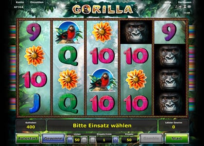Gorilla Screenshot