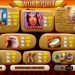 Wild Spirit Screenshot 3
